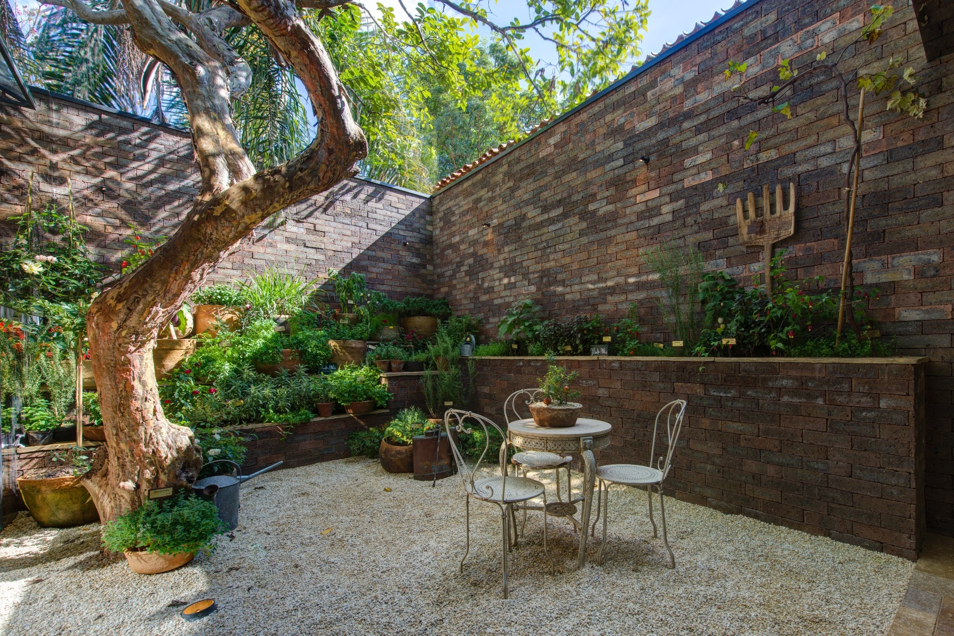 10 dicas para cuidar do seu jardim durante o inverno